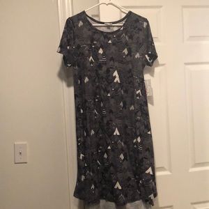 Lularoe carly